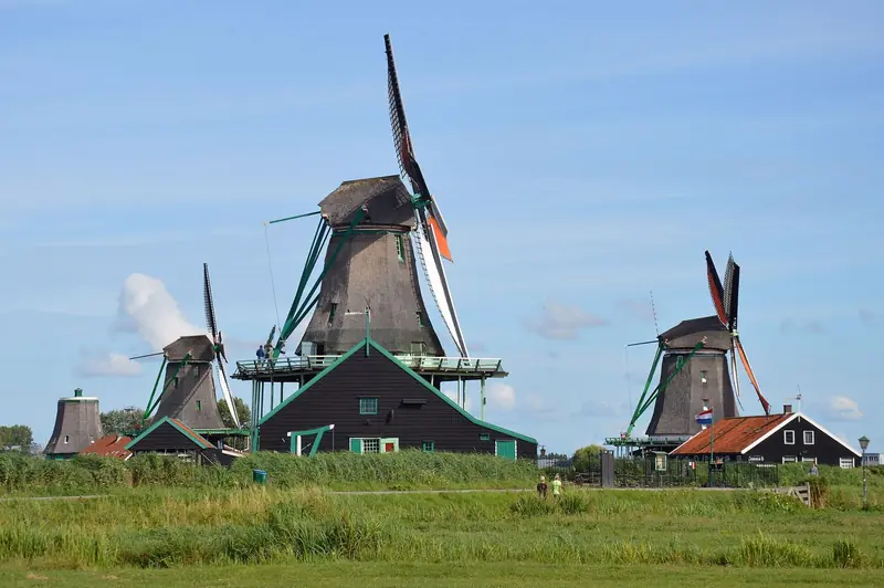 Moinhos de vento de madeira escura às margens de um campo verde em Zaanse Schans, sob céu azul
