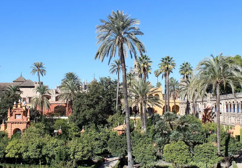 Jardins do Real Alcázar de Sevilha com palmeiras altas e a Giralda ao fundo