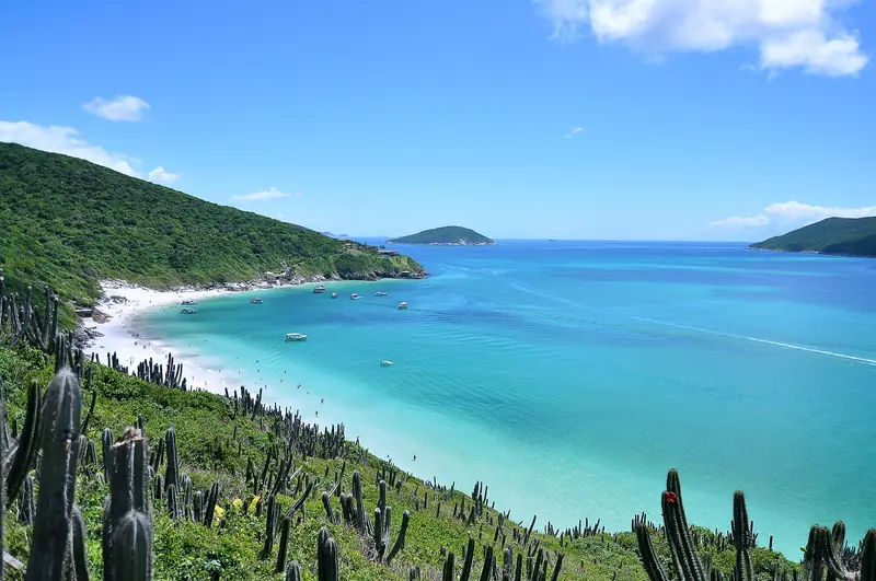 Praia do Forno vista do alto da trilha, com cactos no morro, areia branca e barcos ancorados na água azul-clara