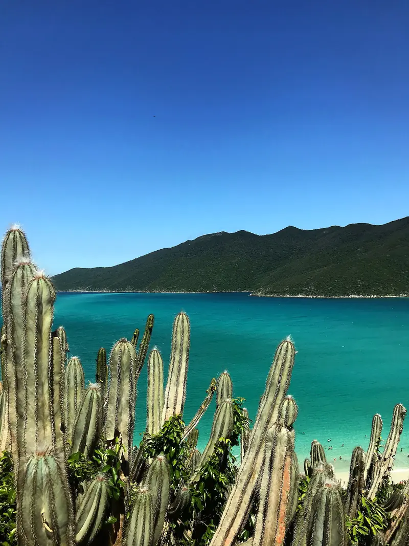 Cactos no alto do Pontal do Atalaia e, embaixo, a água verde-azulada das Prainhas com banhistas na beira