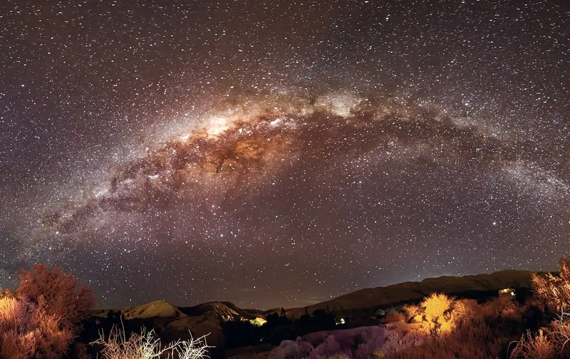 Arco da Via Láctea sobre o deserto à noite, com arbustos iluminados em primeiro plano