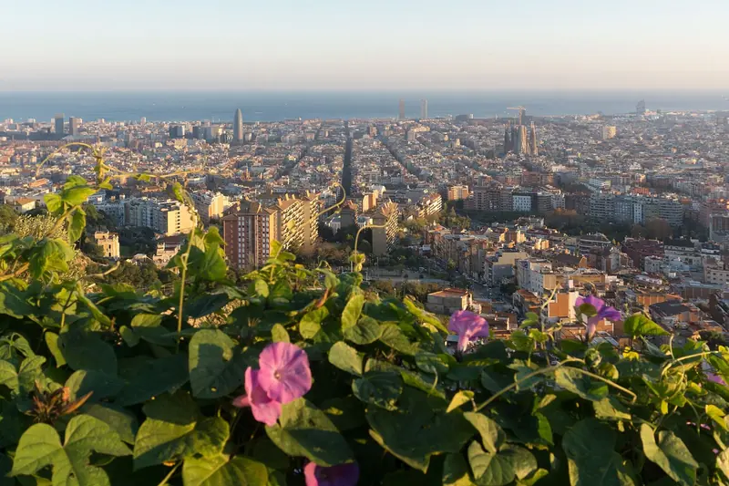 Barcelona vista do Turó de la Rovira ao entardecer, com a grade do Eixample, as torres da Sagrada Família e o mar ao fundo