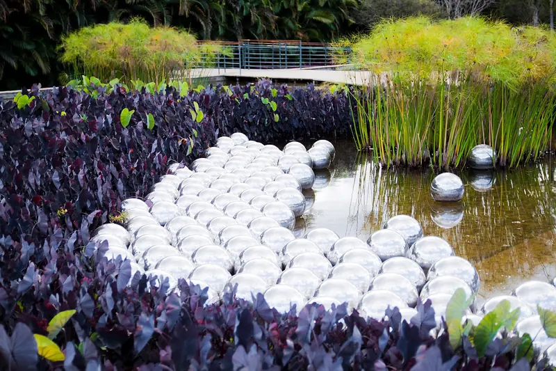Esferas de aço espelhadas da obra Narcissus Garden, de Yayoi Kusama, num espelho d'água entre plantas roxas e papiros, no Inhotim