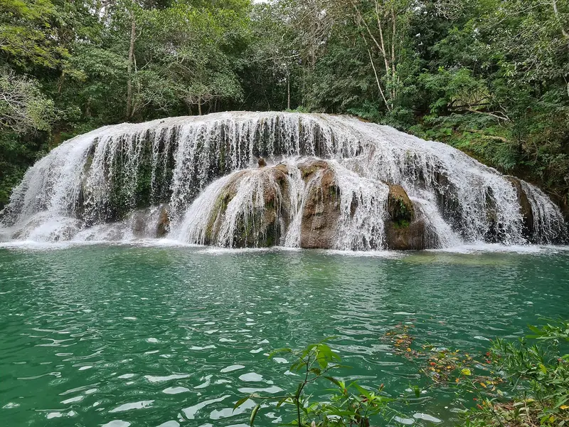 Cachoeira larga caindo sobre rochas cobertas de musgo num poço verde, cercada de mata