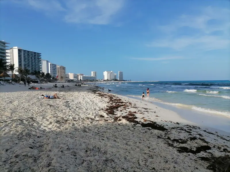 Praia com hotéis ao fundo e uma faixa de sargaço seco acompanhando a linha da água