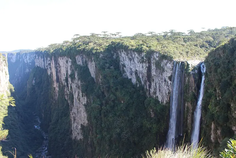 Cachoeira Véu de Noiva despencando pelo paredão do cânion Itaimbezinho, com araucárias na borda