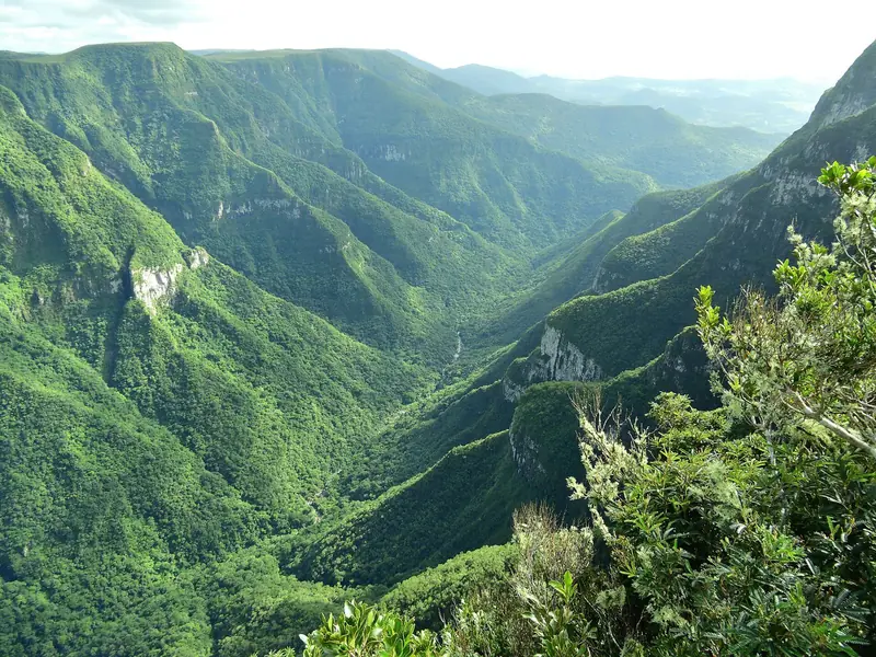 Vista ampla do Cânion Fortaleza, com o vale coberto de mata entre os paredões