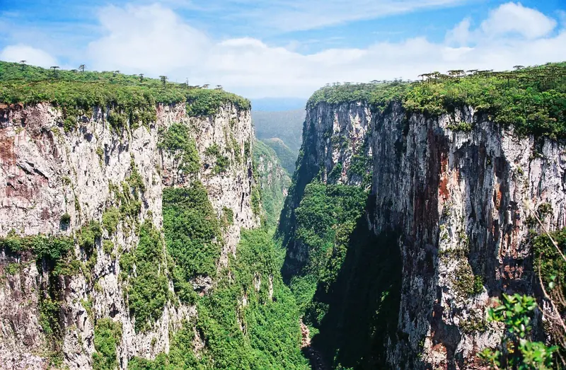 Paredões do cânion Itaimbezinho cobertos de vegetação, vistos do alto
