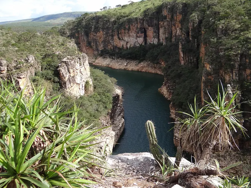 Vista do alto de um cânion com a água escura lá embaixo e margens de pedra expostas, cercado de paredões e cerrado, com palmeirinhas e um cacto em primeiro plano