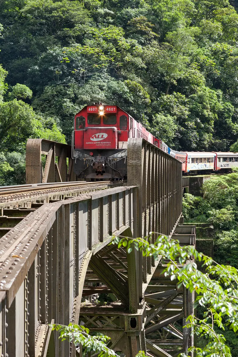 Trem de passageiros atravessando uma ponte de ferro no meio da mata da Serra do Mar