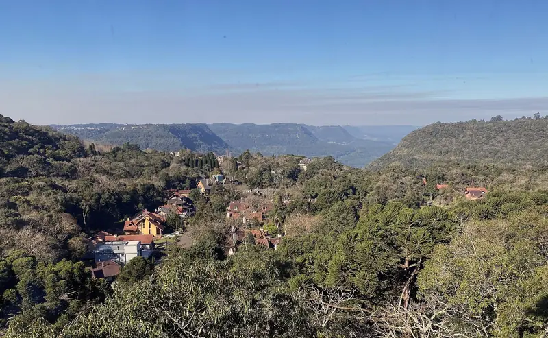 Casas do bairro Planalto entre araucárias, com os morros do Vale do Quilombo ao fundo