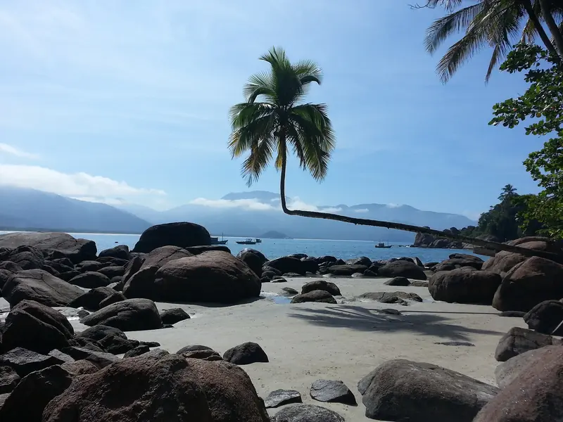 Coqueiro deitado sobre a areia entre pedras na Praia do Aventureiro, com a baía e montanhas ao fundo