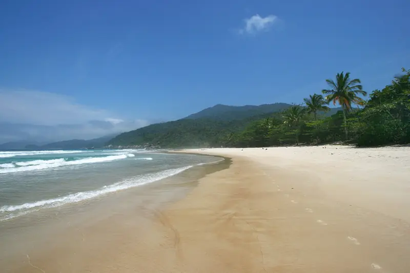 Praia de Lopes Mendes com areia branca, ondas, coqueiros e morro coberto de mata sob céu azul