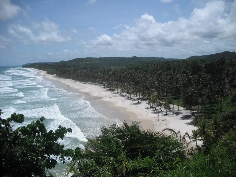 Praia longa e reta de areia clara vista do alto, com ondas brancas à esquerda, coqueiral à direita e um morro de mata no fim