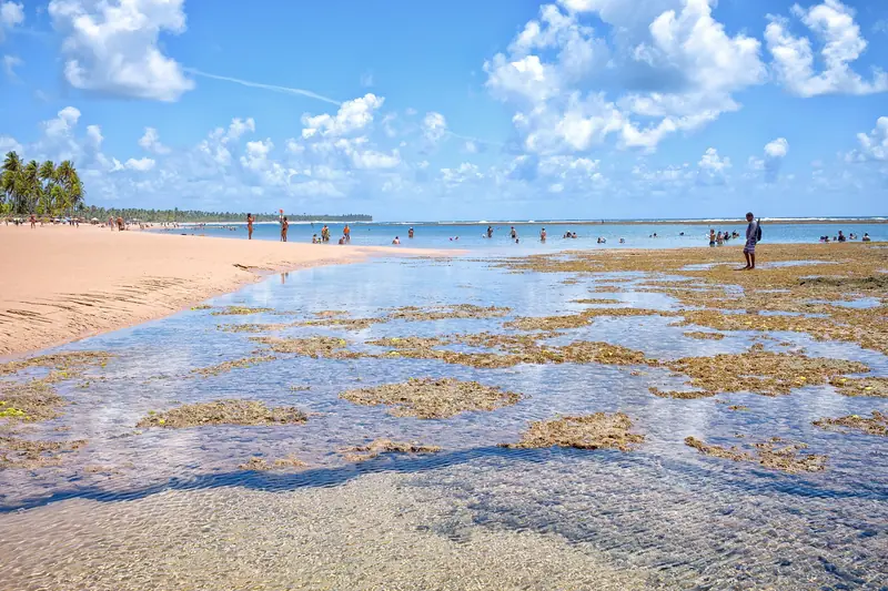 Recife raso com poças de água transparente na maré baixa, banhistas ao longe e coqueiros na beira da praia