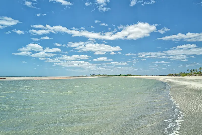 Água rasa e esverdeada na barra de um rio, com faixa de areia clara e coqueiros no horizonte
