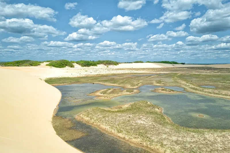 Poças de água esverdeada entre dunas claras e vegetação baixa, sob céu com nuvens