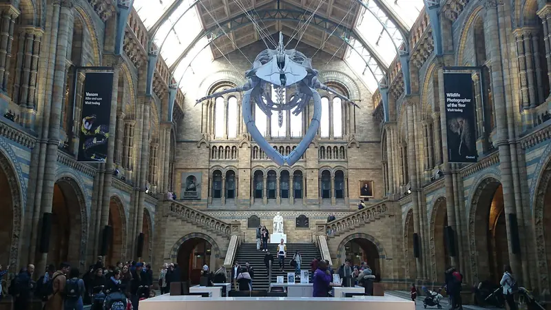 Salão principal do Natural History Museum, com o esqueleto de baleia-azul suspenso sob o teto de vidro