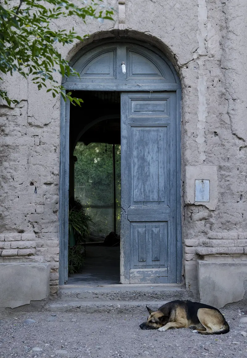 Porta de madeira azul aberta em uma casa antiga de adobe, com um cachorro dormindo na calçada de terra