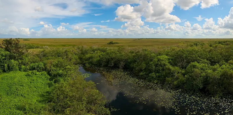 Canal escuro com plantas aquáticas entre arbustos e o capim do pântano até o horizonte, sob céu de nuvens brancas