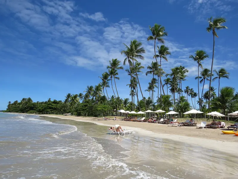 Praia de areia clara com coqueiros altos, guarda-sóis brancos e espreguiçadeiras, e o mar calmo chegando à areia sob céu azul