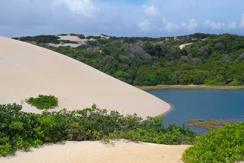 Duna de areia clara descendo até uma lagoa azul cercada de mata verde