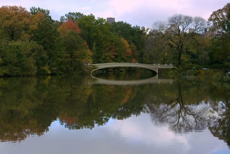 Ponte Bow, de ferro branco, sobre o lago do Central Park, com árvores de outono refletidas na água