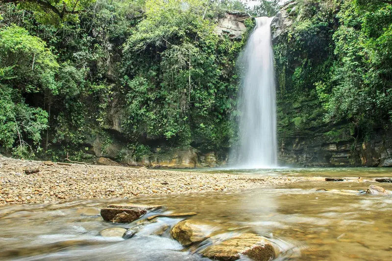 Queda vertical da Cachoeira do Abade cercada de mata