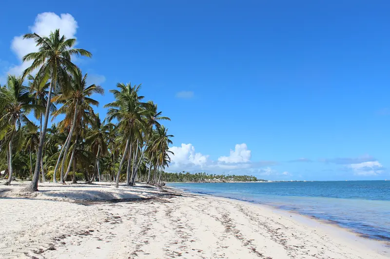 Praia de Cabeza de Toro, em Punta Cana, com areia branca, coqueiros altos inclinados à esquerda e mar calmo azul sob céu limpo