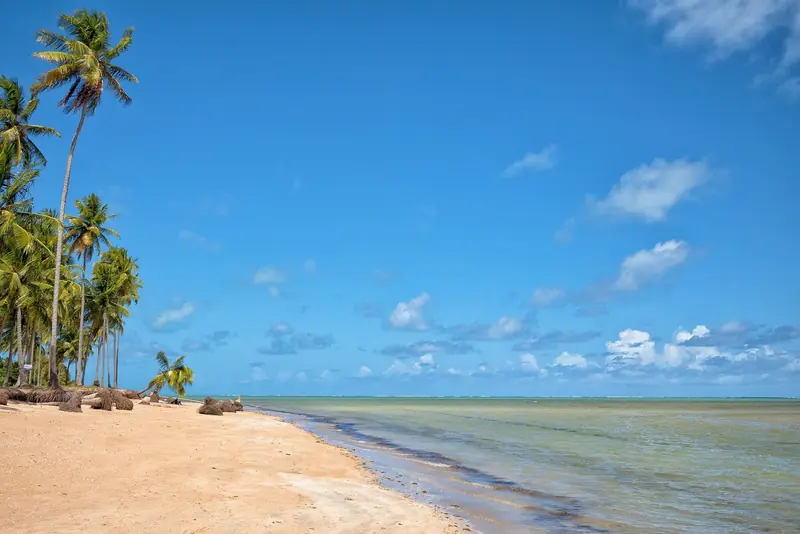 Praia de Lages com areia clara, coqueiral à esquerda e mar calmo em tons de verde e azul