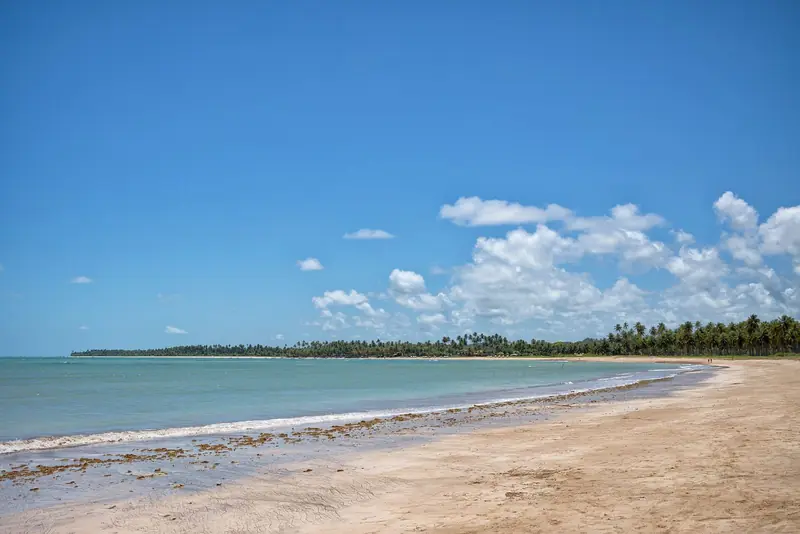 Praia do Patacho com faixa larga de areia, mar azul-turquesa e coqueiral se estendendo até o horizonte