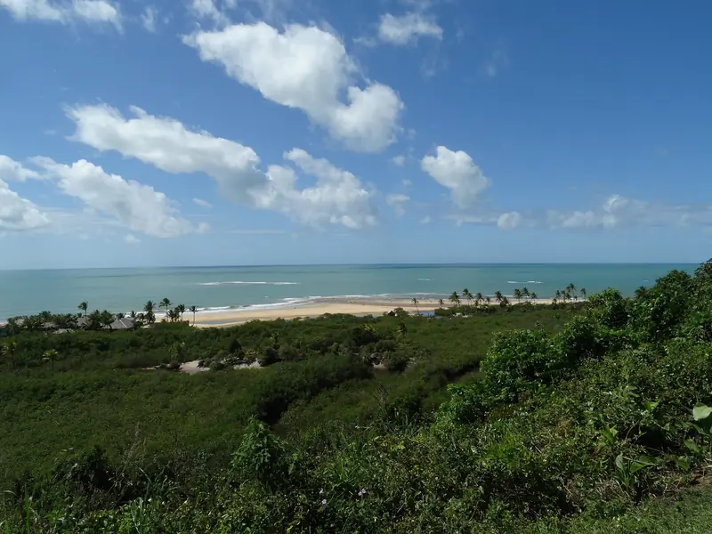 Vista do alto da falésia sobre a mata baixa até uma praia de areia clara e coqueiros, com o mar verde ao fundo